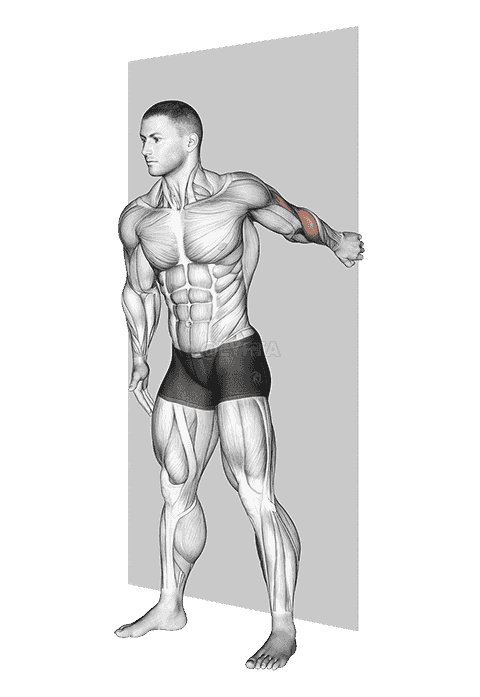 Forearm Pronator Stretch demonstration