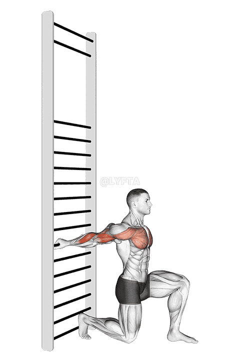 Arms Stretch On A Support demonstration