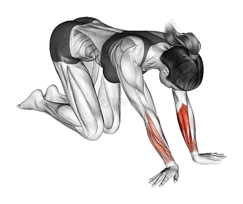 Wrist Radial Deviator And Flexor Stretch demonstration