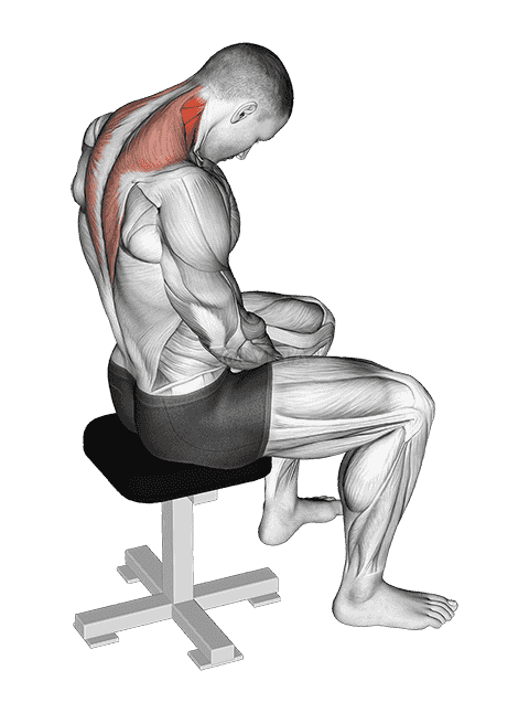 Sitting Neck Flexion Stretch demonstration