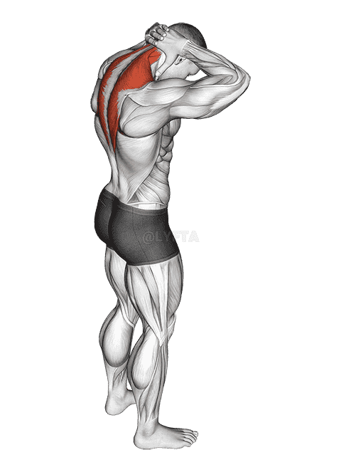 Neck Extensor Stretch demonstration