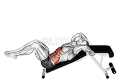 Decline Bent Leg Reverse Crunch demonstration
