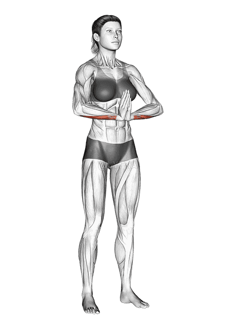 Wrist Flexor Stretch demonstration