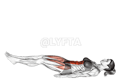 Leg Raise Slightly Bent Knee demonstration