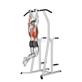 Hammer Grip Pull-up on Dip Cage demonstration