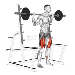 Low Bar Squat with Rack demonstration