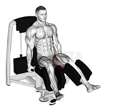 Lever Seated Hip Abduction demonstration