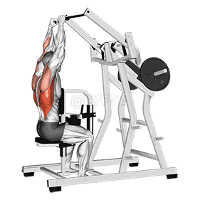 Lever Lateral Pulldown demonstration