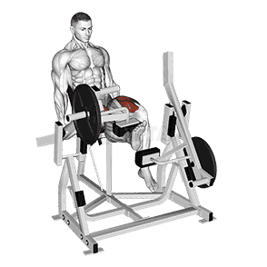 Lever Alternate Leg Extension demonstration