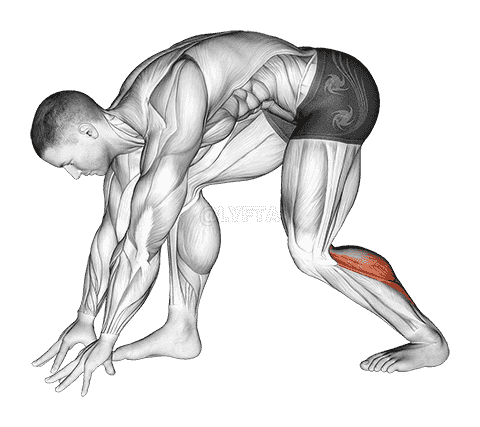 Crouching Heel Back Achilles Stretch demonstration