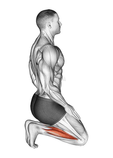 Toe Squat Stretch demonstration