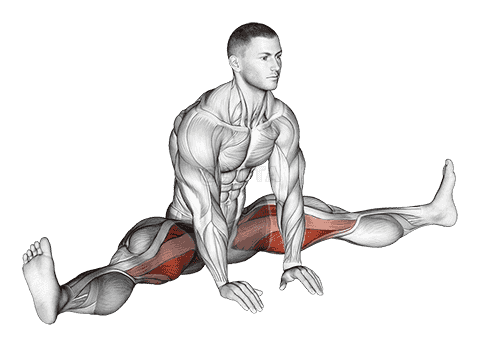 Sitting Wide Leg Adductor Stretch demonstration