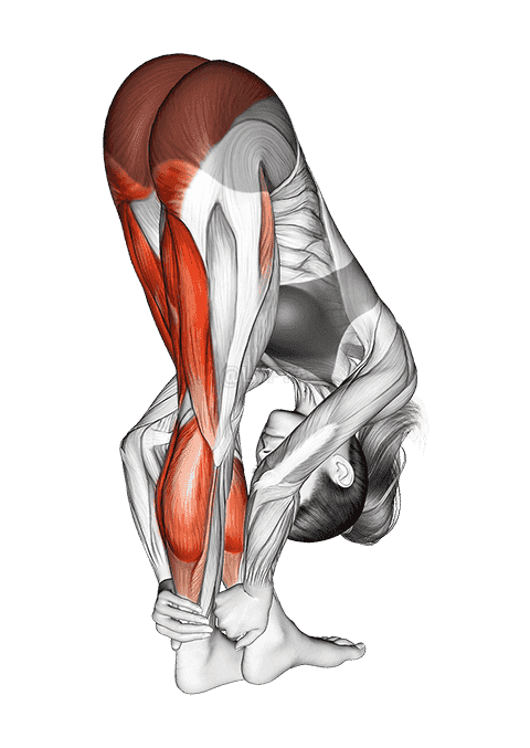Standing Reach Down Hamstring Crossed Legs Stretch demonstration