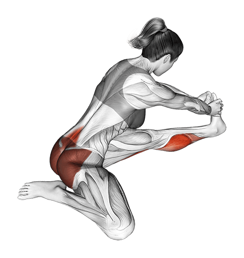 Seated Hip Stretch With Opposite Leg From Behind demonstration