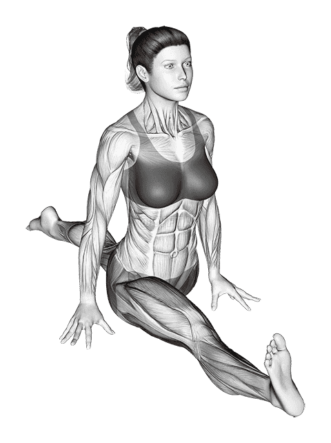 Flexion And Extension Hip Stretch demonstration