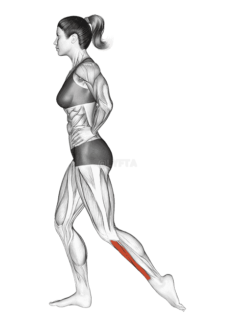 Standing Toe Extensor Stretch demonstration