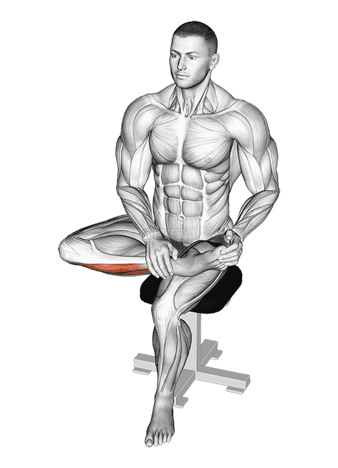 Seated Toe Extensor Stretch demonstration