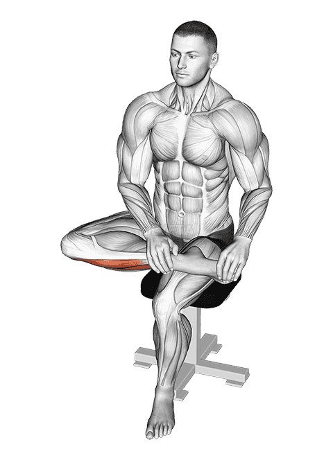 Seated Toe Extensor And Foot Inverter Stretch demonstration