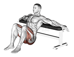 Hip Thrusts demonstration