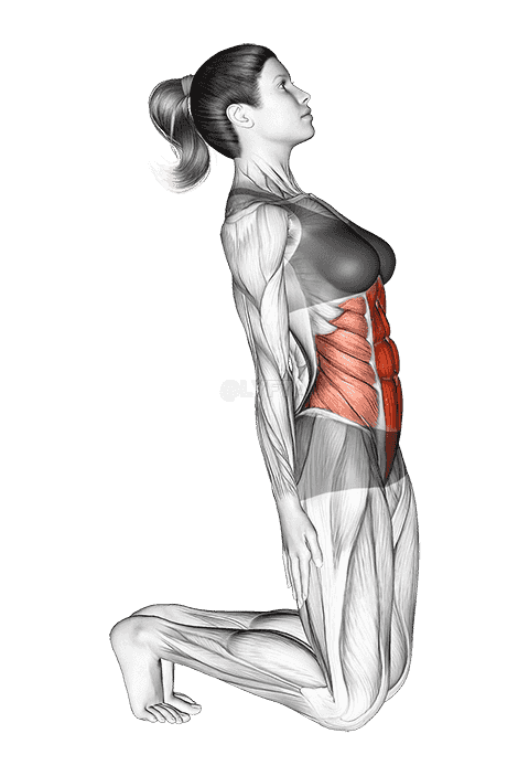 Kneeling Abdominal Stretch demonstration