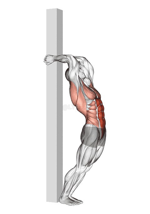 Hip Extension Supported From Back demonstration