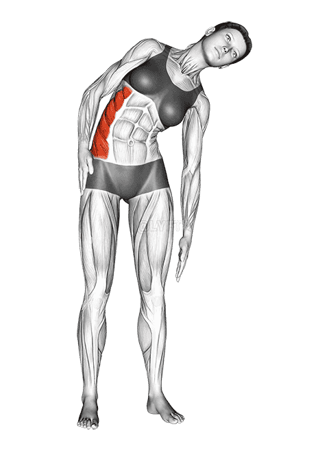 Standing Lateral Side Stretch demonstration