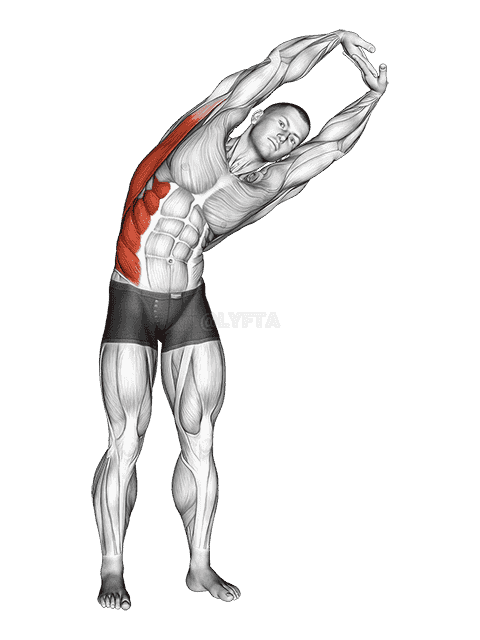 Standing Side Stretch demonstration
