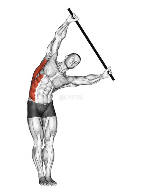 Standing Side Stretch With Stick demonstration