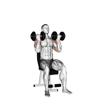 Dumbbell Arnold Press demonstration