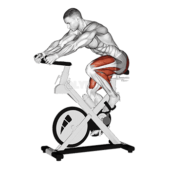 Stationary Bike Run demonstration
