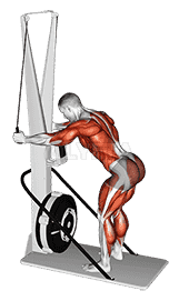 Ski Ergometer demonstration
