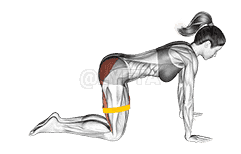 Resistance Band Bent Leg Kickback demonstration