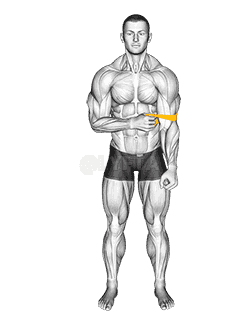 Resistance Band External Rotation demonstration