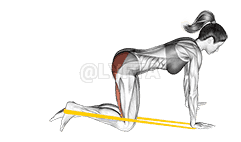 Resistance Band Leg Kickback demonstration