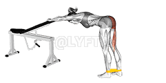 Resistance Band One Leg Kickback demonstration