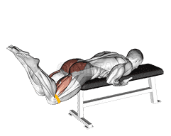 Resistance Band Reverse Hyperextension demonstration