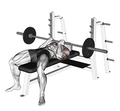 Barbell Reverse Close-grip Bench Press demonstration