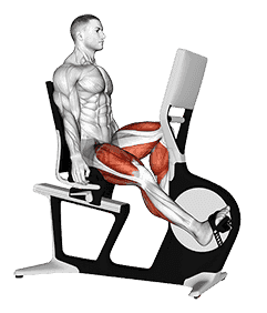 Bicycle Recline Walk demonstration