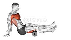 Roll Hamstrings Sitting on Floor demonstration