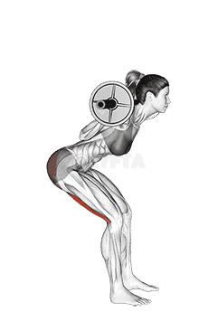Barbell Good Morning demonstration