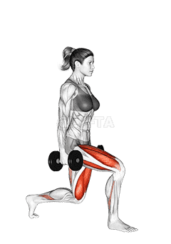 Dumbbell Rear Lunge demonstration