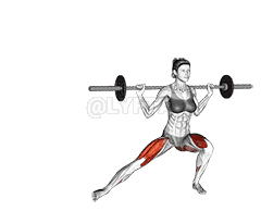 Barbell Lateral Lunge demonstration