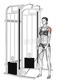 Cable One Arm Lateral Raise demonstration