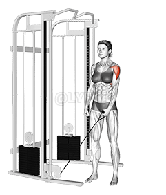 Cable One Arm Lateral Raise demonstration