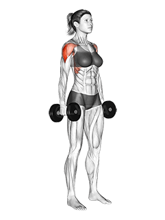Dumbbell Standing Lateral Raise demonstration