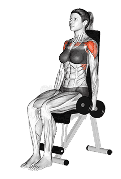 Dumbbell Seated Front Raise demonstration