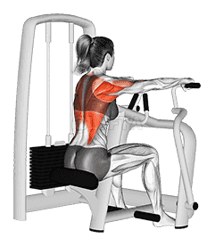 Lever Seated Row demonstration
