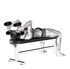 Dumbbell Lying Triceps Extension demonstration