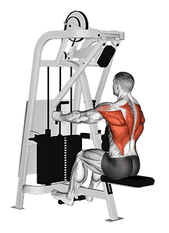 Lever Seated Row demonstration