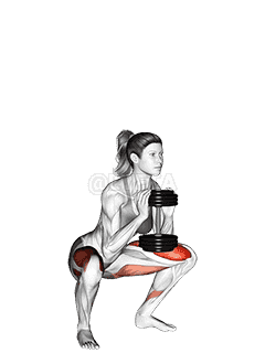 Dumbbell Goblet Squat demonstration